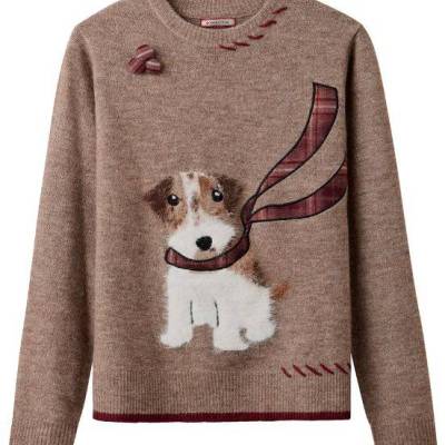 Embroidered Dog Jumper.JPG
