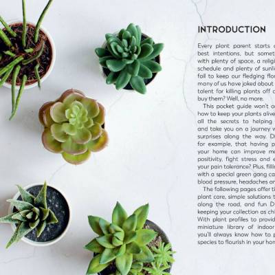 Little Book for Plant Parents 2.jpg